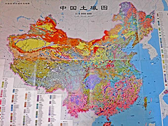 中国土壤图